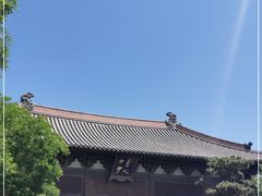 -善化寺