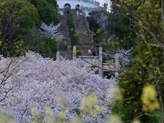 -苏州上方山国家森林公园