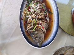 -崂山水果园农家宴(泉水鸡店)