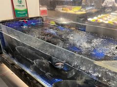 -高佳庄·舟山海鲜(海景旗舰店)