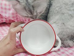 -瑞派康怡24h宠物医院·犬猫医疗中心·微创绝育(瑞景分院)