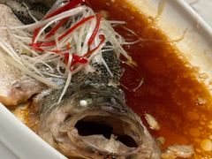-百姓渔村(南中环店)