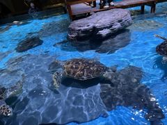 -台州海洋世界