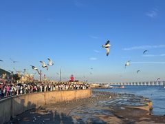 -星海广场