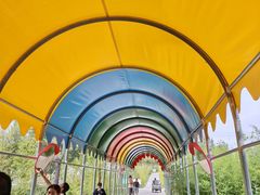 -西部长青自然儿童乐园