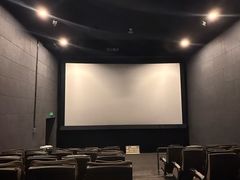 -SFC上影影城(新世界店)