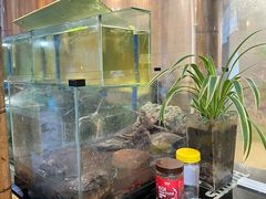 -悦和庄餐厅(迎宾北路店)