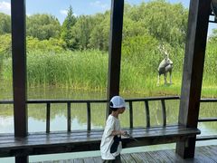 -溱湖国家湿地公园