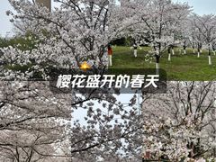 -关你鬼室大型密室逃脱(佛山创意园店)