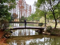 -洪湖悦兮半岛国际温泉度假村
