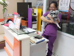 -惠康宠物医院(华能路店)