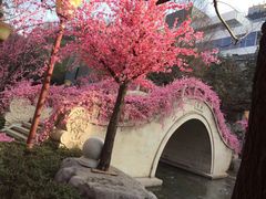 -西安曲江寒窑遗址公园