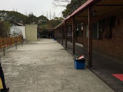 -长兴岛郊野公园农场食堂