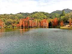 -广州市白云山风景名胜区