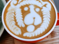 -SAFARI COFFEE