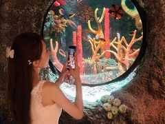 -沈阳海洋探索中心