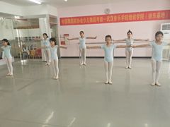 -武汉音乐学院徐东基地