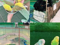 -史努比缤纷世界