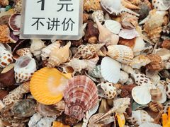 -石塘路海鲜市场(草厂中路店)