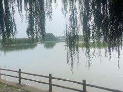 -白洋淀景区