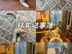 -猫岛主趣味餐厅(鼓浪屿店)