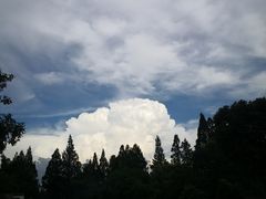 -古韵餐厅(湖畔大学店)