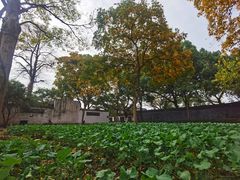 -绍兴鲁迅故里·沈园景区