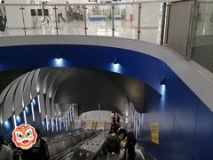 -望京西(地铁站)