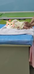 点击看大图 -武汉百佳妇产医院