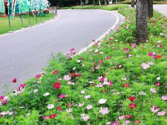 -武汉园博园(武汉自然博物馆)