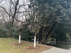 -灵谷景区