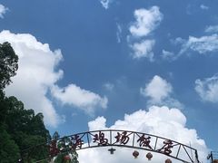 -区海鸡场饭店(石壁店)