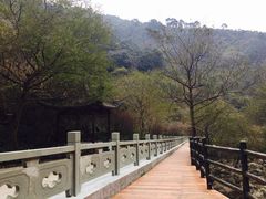 -宁波五龙潭景区