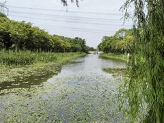 -嘉北郊野公园