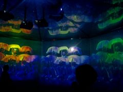 android_upload_pic-中国扇博物馆