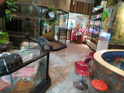 -悠游堂儿童乐园(公园茂店)