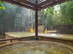 -春晖园度假酒店温泉