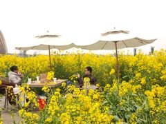 -中国天府农业博览园