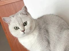 -荔康动物医院(康王北路店)