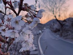 -崂山九水游览区