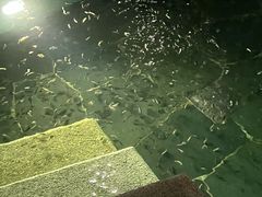 -苏州湾·王焰温泉