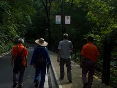 -广州市帽峰山景区