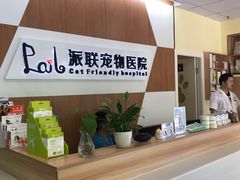 -派联宠物医院·24h·CT·异宠
