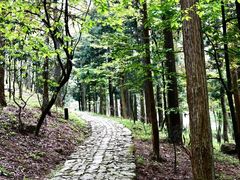 -溪口-滕头旅游景区