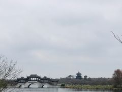 -上海海湾国家森林公园