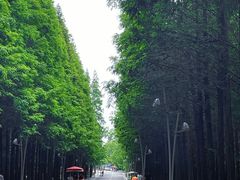 -前王院•巧克力海鲜市集餐厅(万平口店)