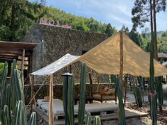 -MOJ coffee(瓯海泽雅水碓坑店)