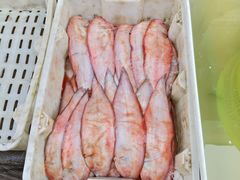 -冰冰酱老味刨冰绵绵冰(爱国道店)