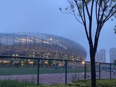 -大连体育中心体育馆