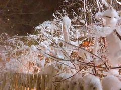 -陆地游轮吉林神农温泉